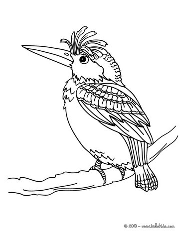 363x470 Woodpecker Coloring Page Attentiveness Birds