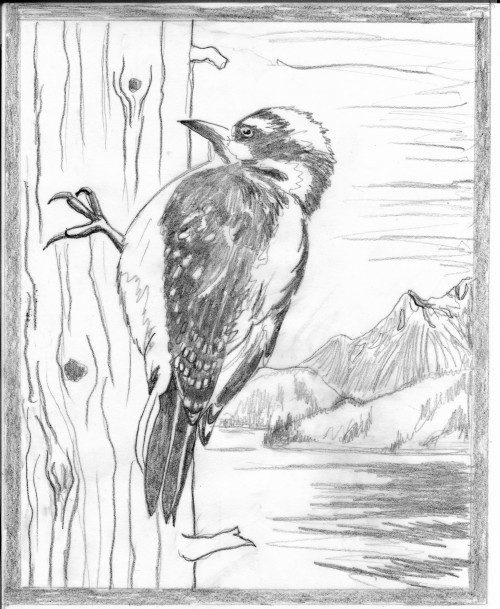 500x609 Chattermarks