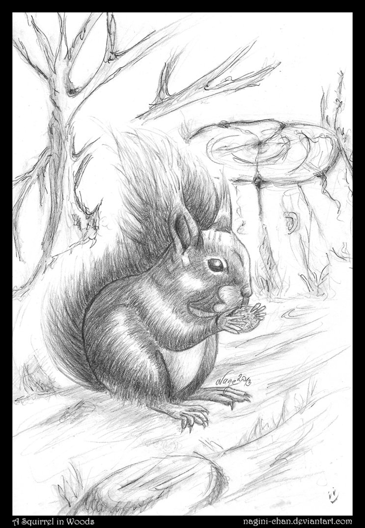 743x1076 A Squirrel In Woods [Commission] By Nagini Chan