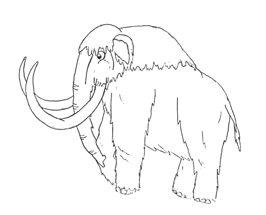 900x730 Woolly Mammoth By Pelycosaur24