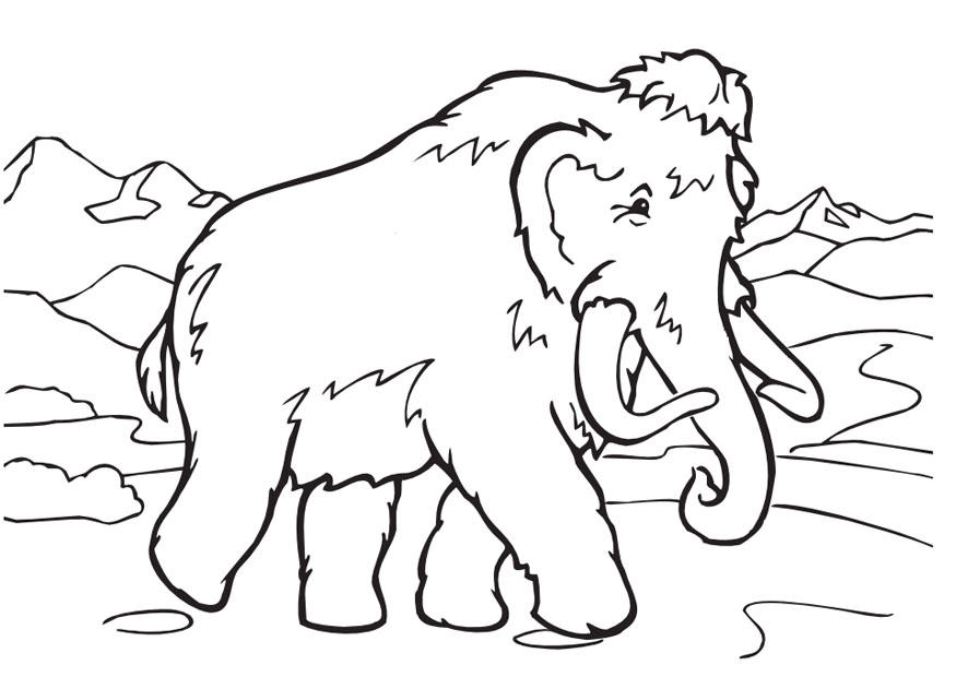 875x620 Coloring Page Wolly Mammoth