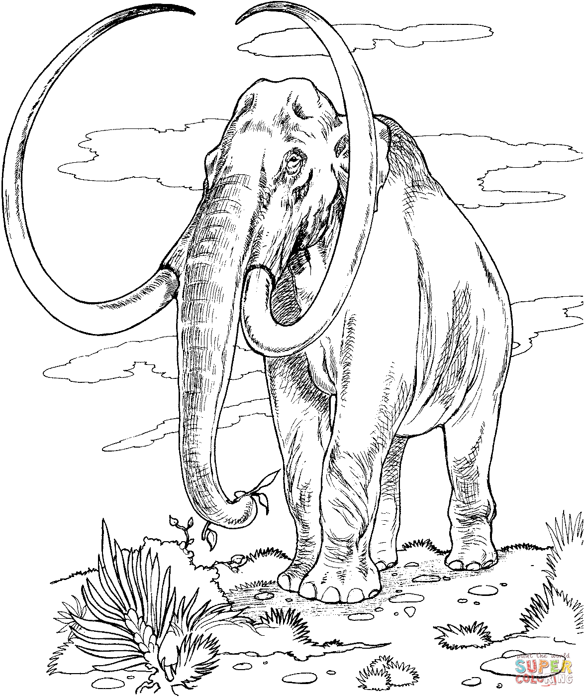 1174x1400 Mammoth Coloring Page Free Printable Coloring Pages