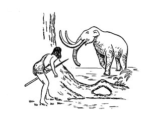 300x240 Woolly Mammoth Prints Fine Art America