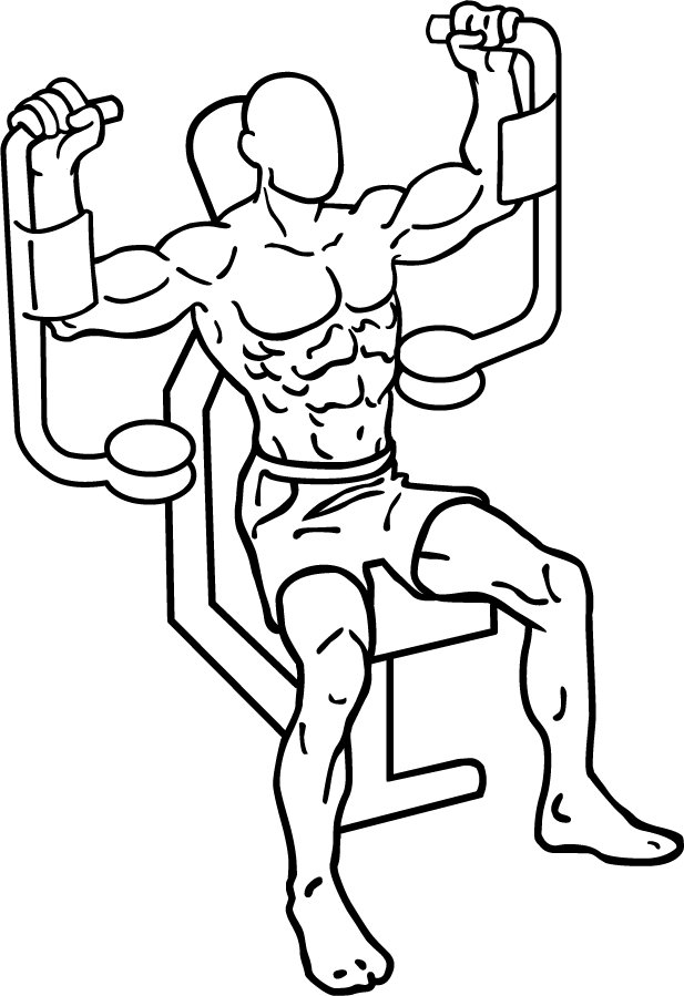 617x899 Butterfly Exercise