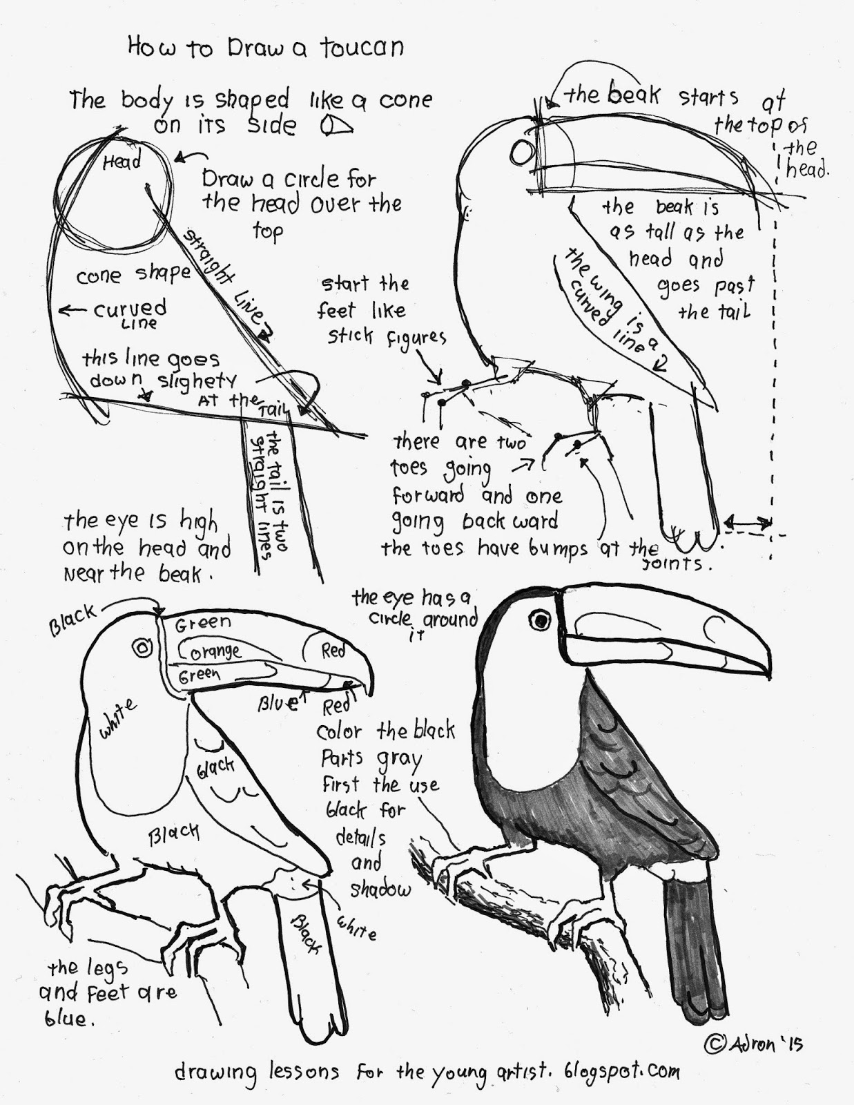 1237x1600 How To Draw A Toucan Worksheet. See More