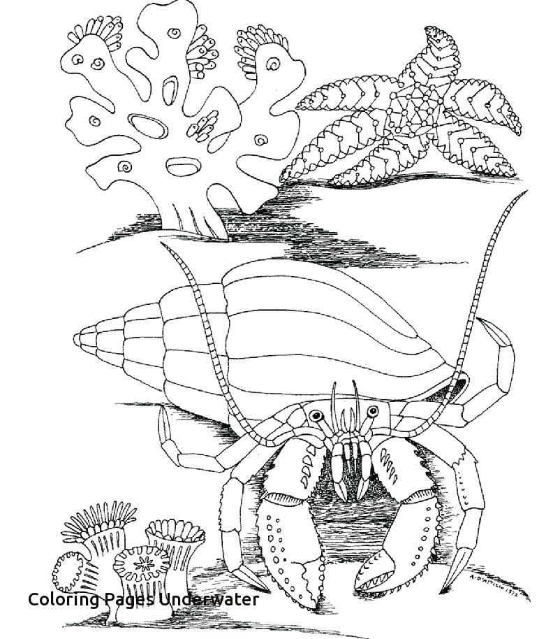 792x914 Underwater Coloring Page Under Sea Coloring Pages Color This Sea