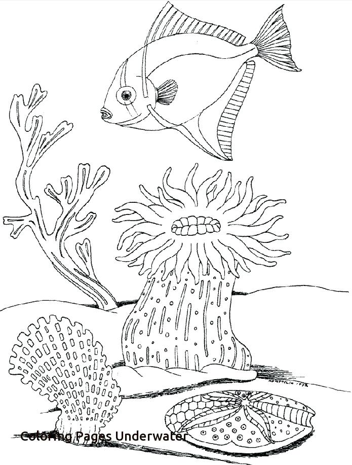 695x917 Underwater Coloring Pages Full Size Of Coloring Drawing Ocean