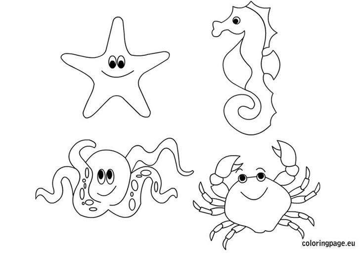 736x514 Underwater Sea Creatures Coloring Pages Coloring Pages Simple
