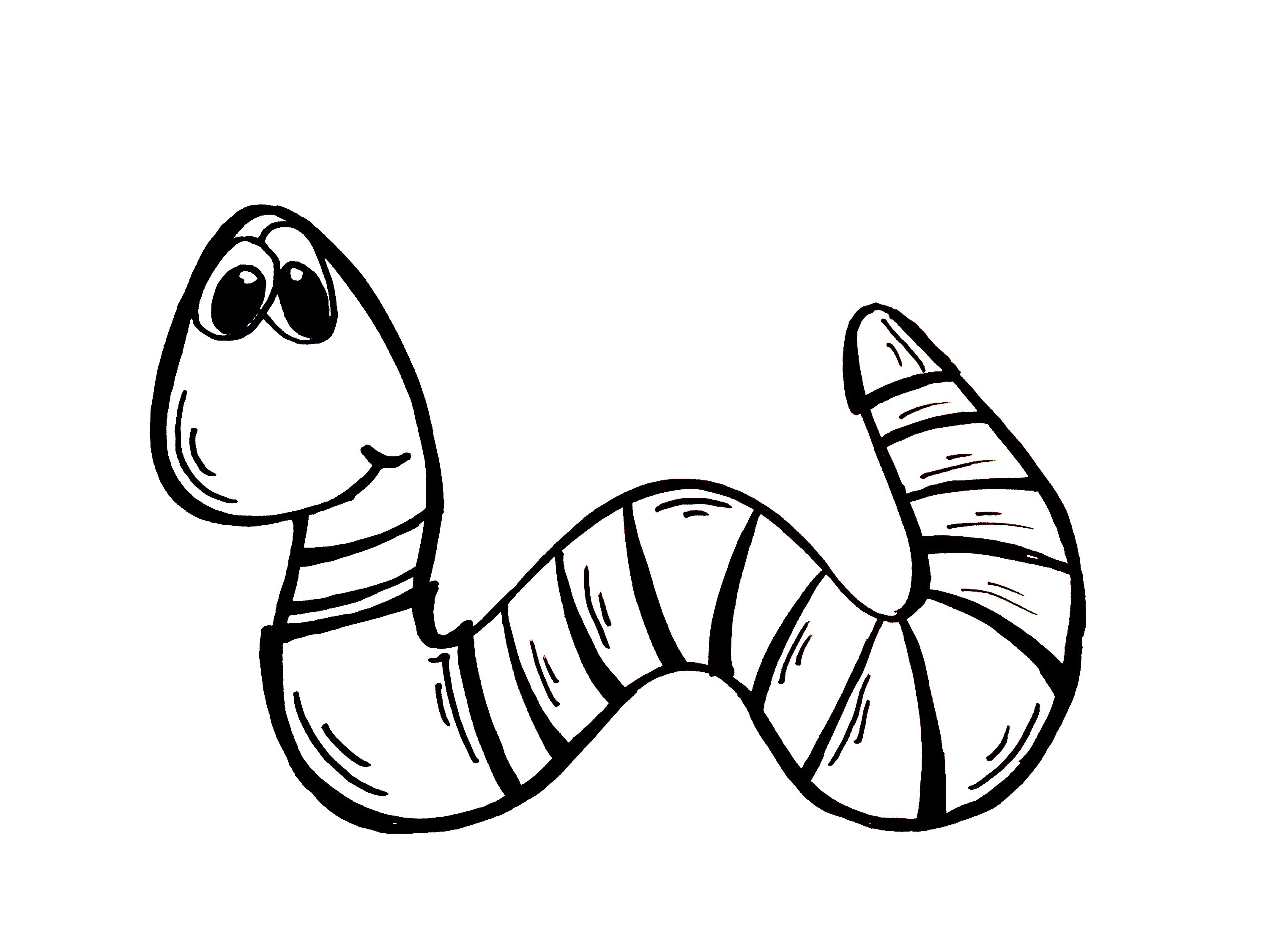 3004x2253 Drawing Lesson How To Draw A Worm