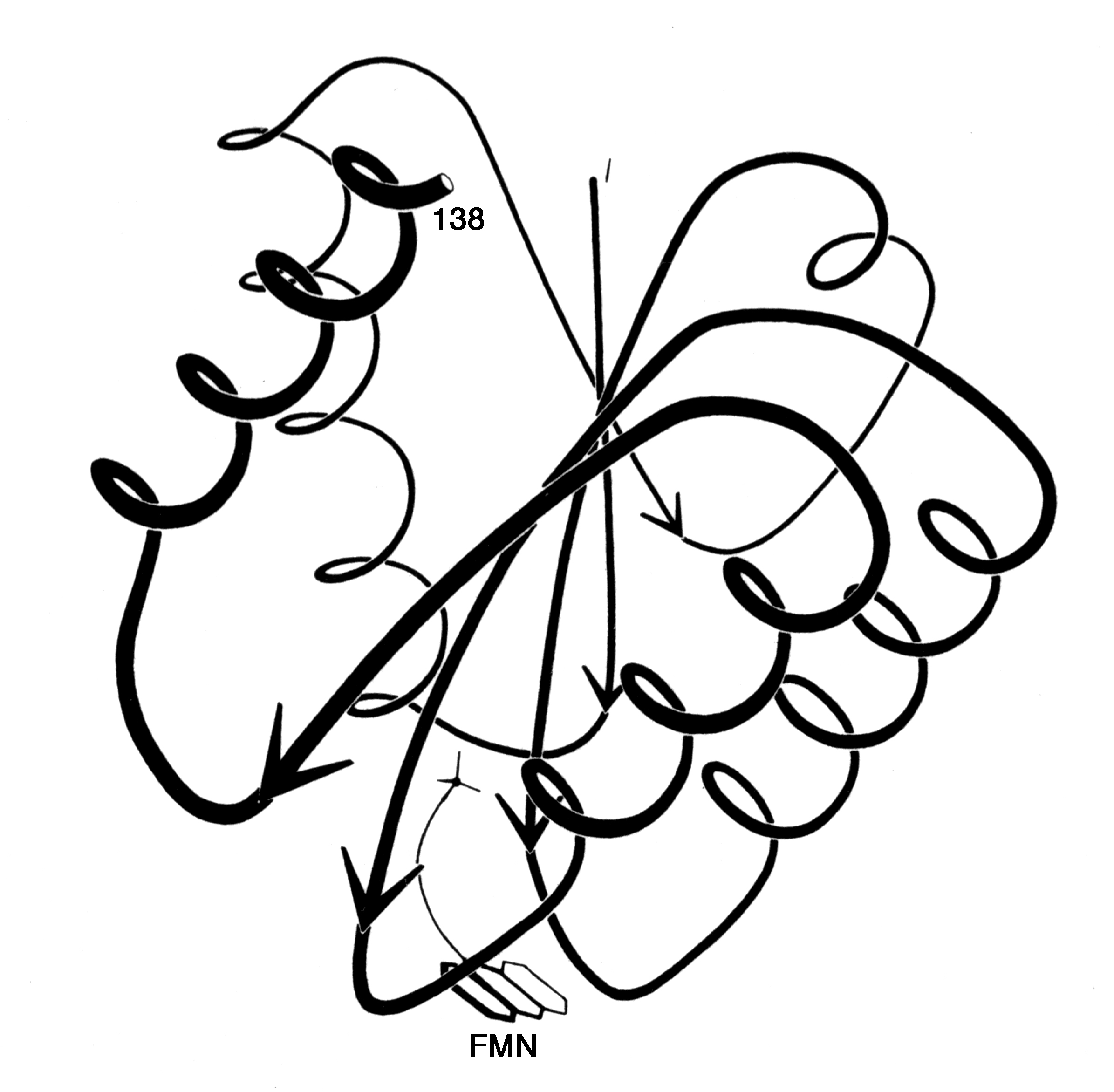 2391x2344 Fileflavodoxin Worm Drawing.jpg