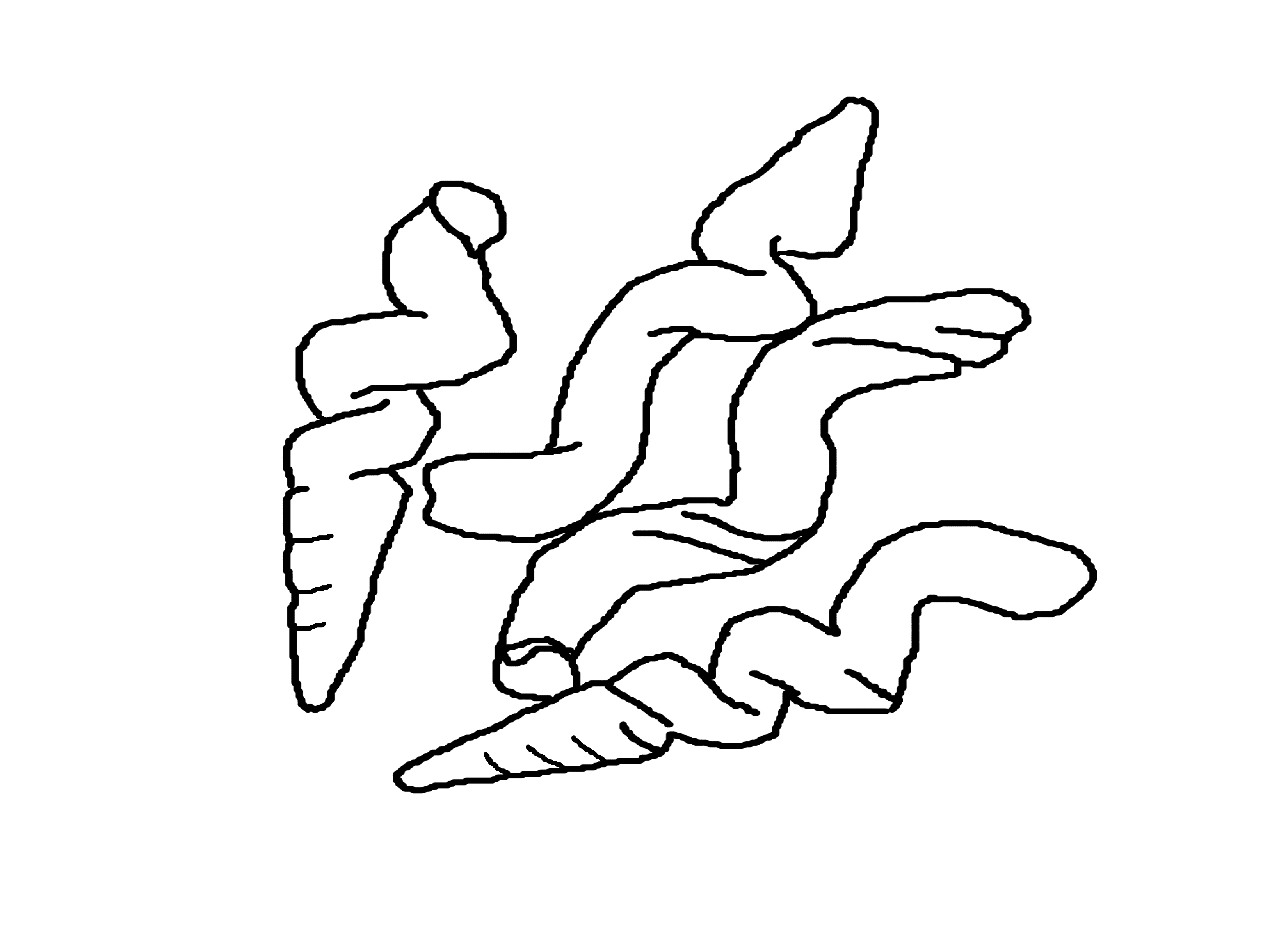 3300x2400 Worm Shells Coloring Page Seashells By Millhill