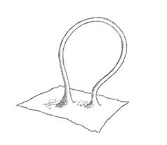 238x207 Questions And Answers About Wormholes And Stargates