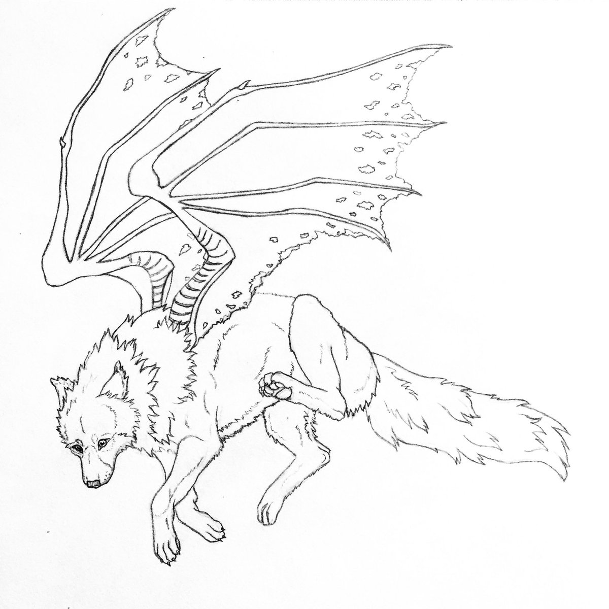 1200x1200 Sunshine Boone On Twitter If Demon Hunter's On Wow Could Have