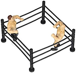 300x287 Buy Wrestlers And Wrestling Ring Cake Kit Online