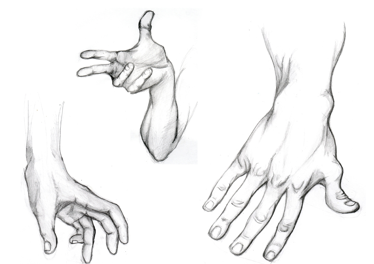 Wrist Drawing at GetDrawings | Free download