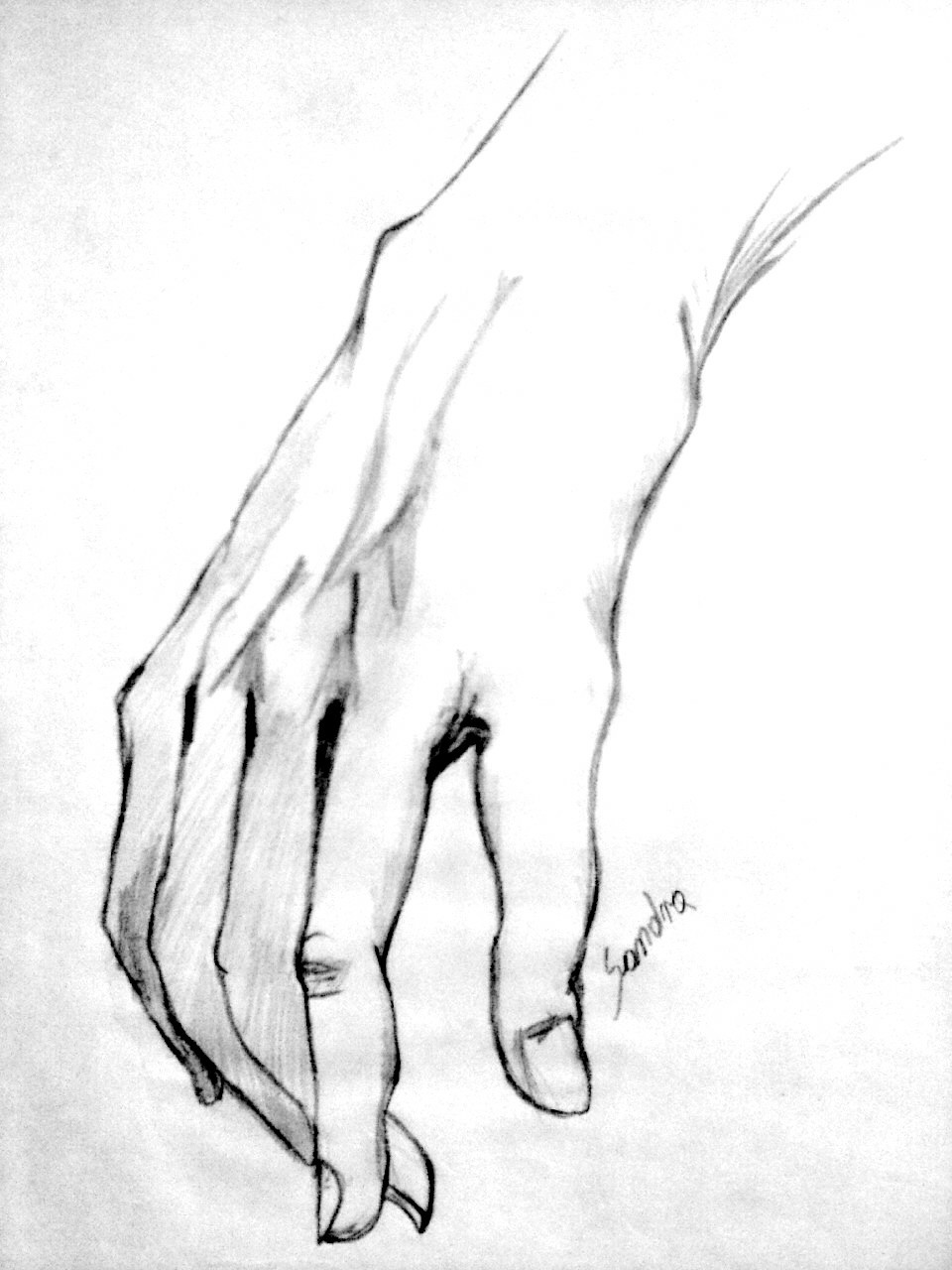 960x1280 Hands Drawing Graphite By Sandra Lesinger Drawings By Sandra