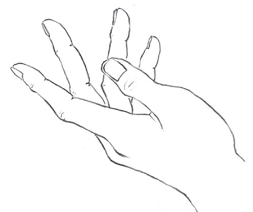 500x419 An Illustrator's Life For Me! Step By Step How To Draw Hands