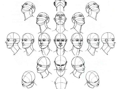 474x355 Drawing Heads