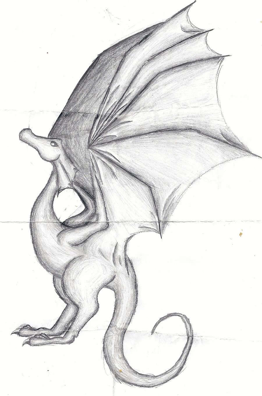 900x1360 Pencil Drawing Wyvern By Tru Wulf