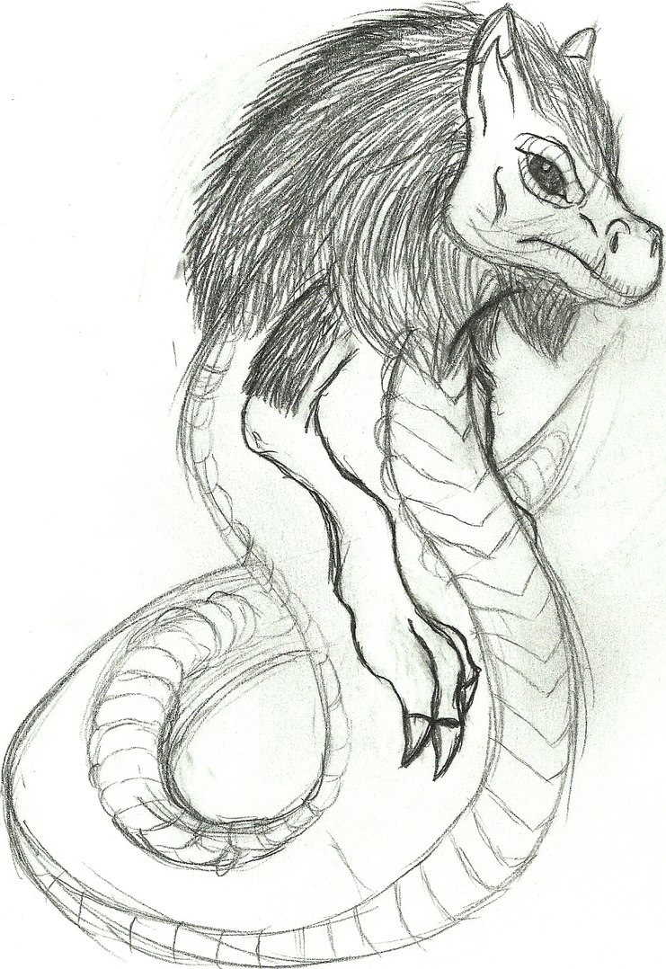 741x1078 Wizard101 Realistic Ice Wyvern Initial Sketch By Cookiedough Gecko