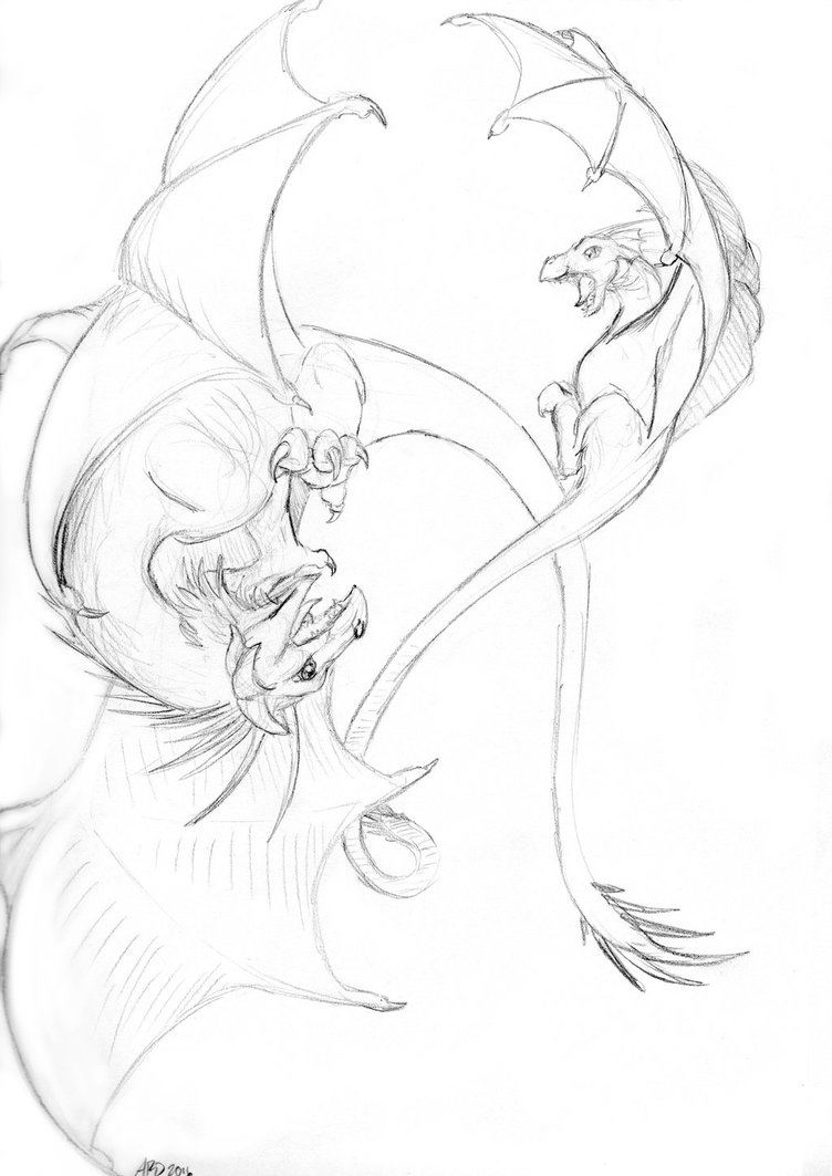 752x1063 Wyvern Battle By Annardunster