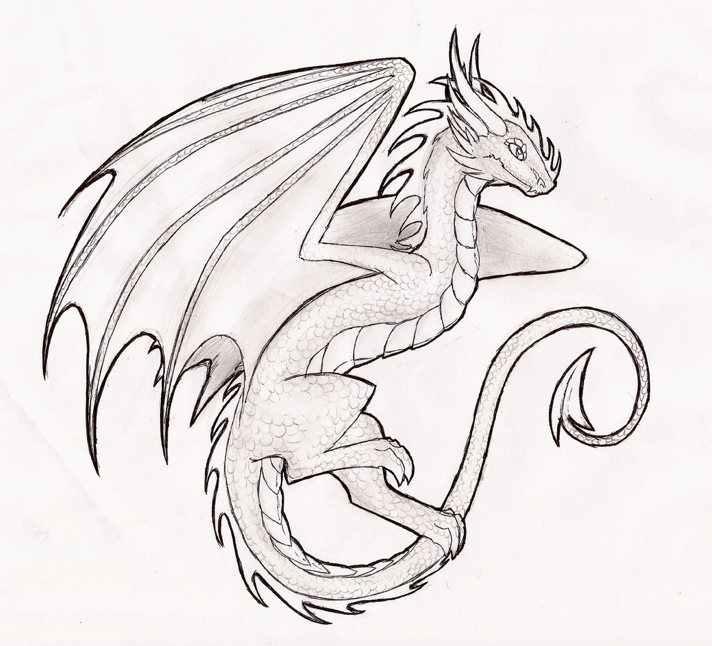 1024x929 Wyvern By On @ Avatar Atla