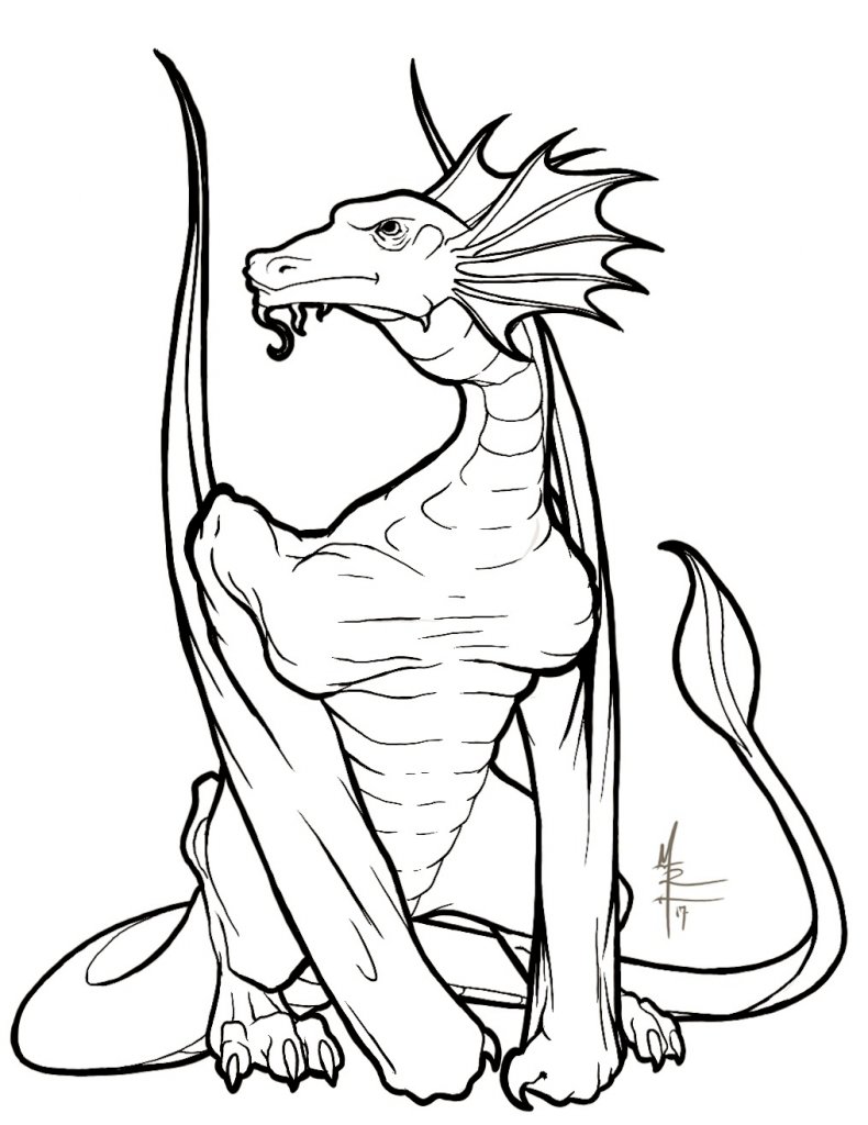 790x1024 D R A G O N B O N E S