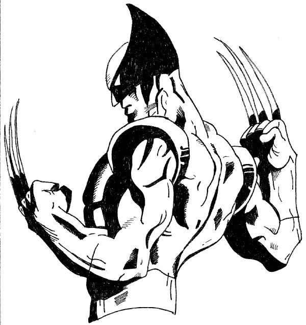 600x636 X Men Wolverine By Katie287