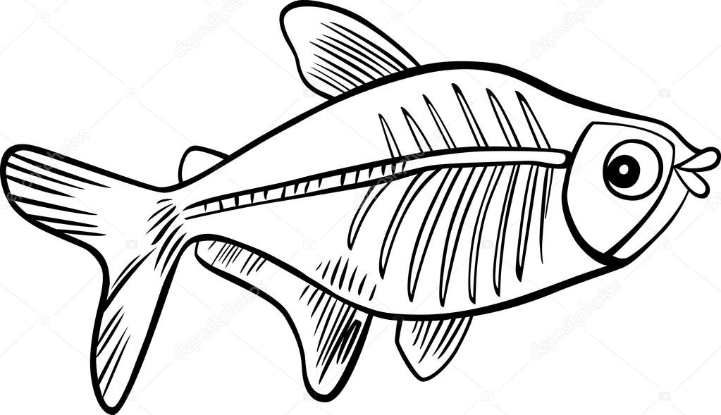 1023x589 Cartoon X Ray Fish For Coloring Book Stock Vector Izakowski