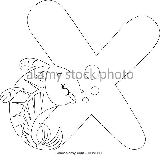 555x540 X Ray Fish Stock Photos Amp X Ray Fish Stock Images