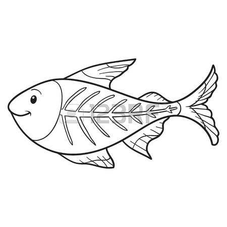 450x450 Coloring Book (X Ray Fish) Royalty Free Cliparts, Vectors,