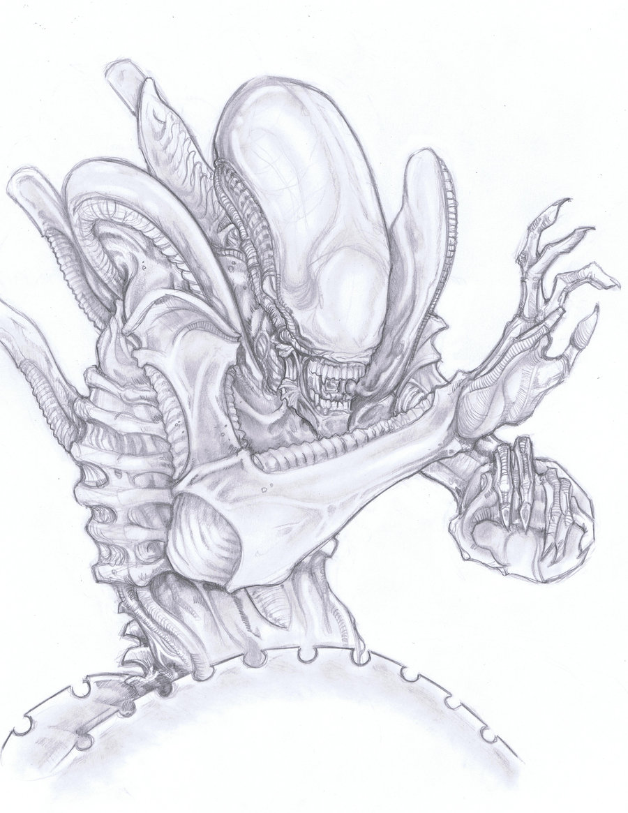 900x1165 Xenomorph Alien By Chrisozfulton