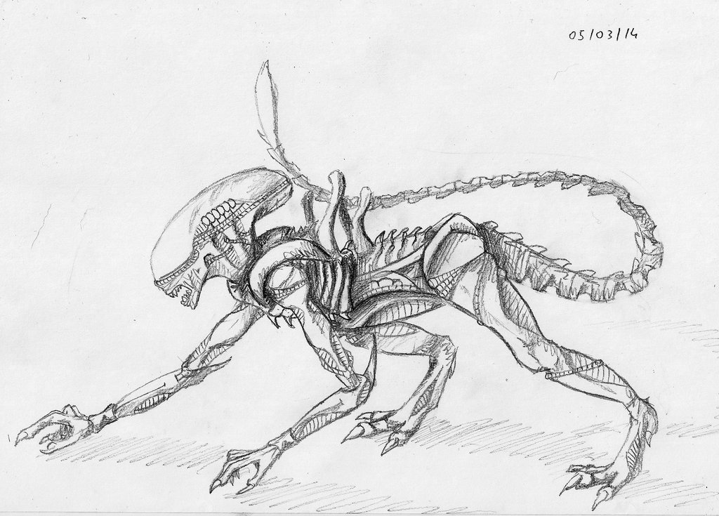 1024x735 Xenomorph Sketch Weasyl