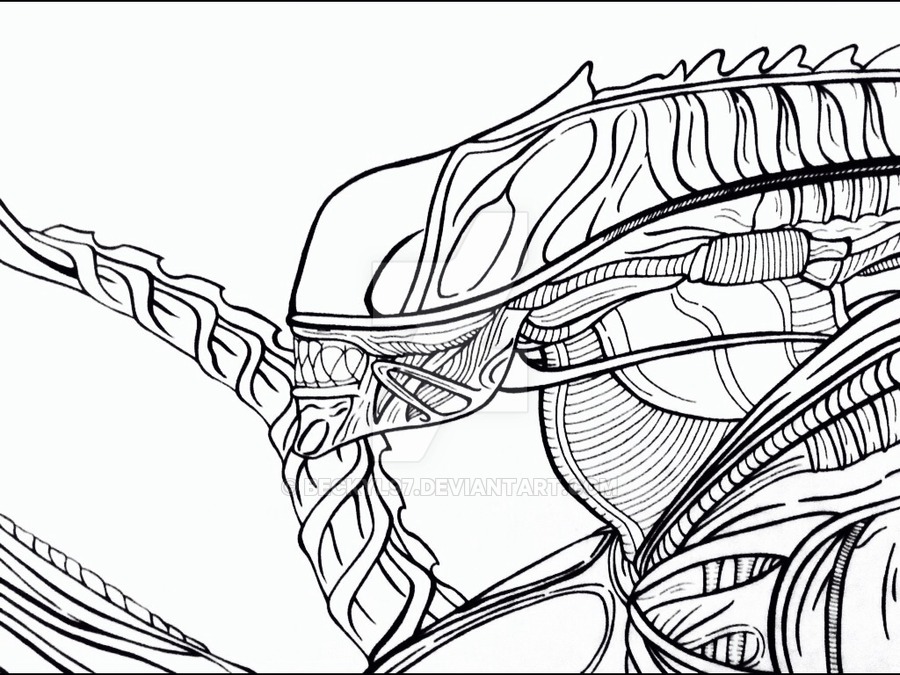 900x675 Xenomorph Warrior Sketch By Beckyl97