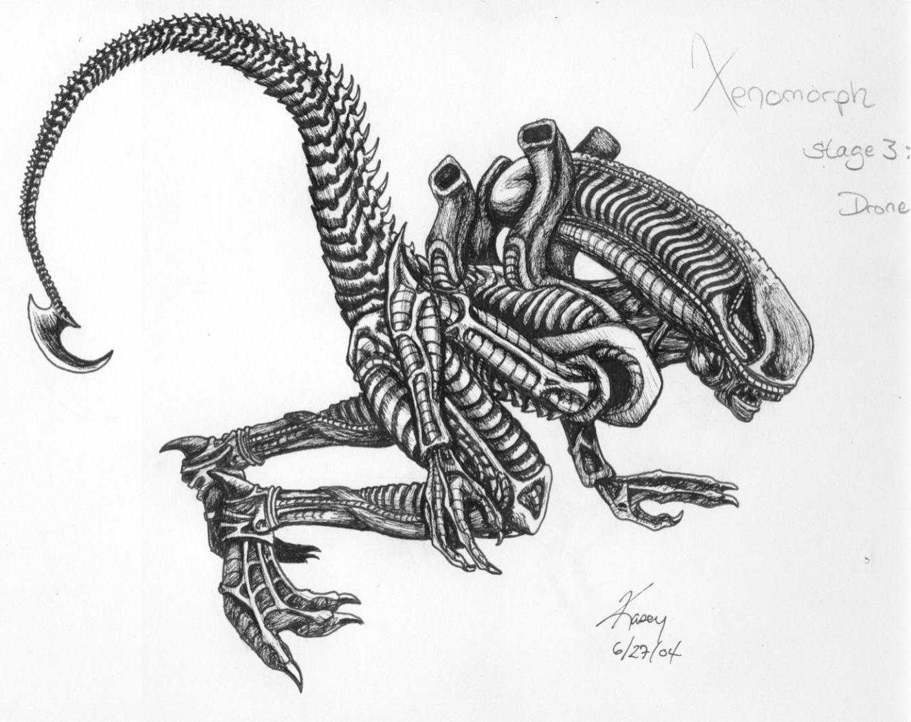 Xenomorph Drawing at GetDrawings | Free download