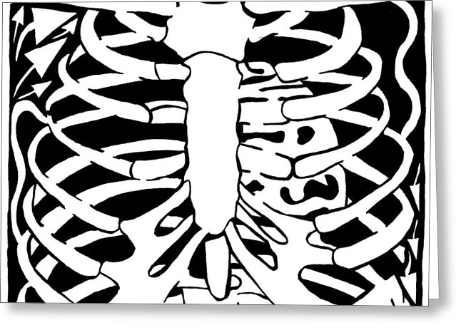 646x470 X Ray Maze Drawing By Yonatan Frimer Maze Artist
