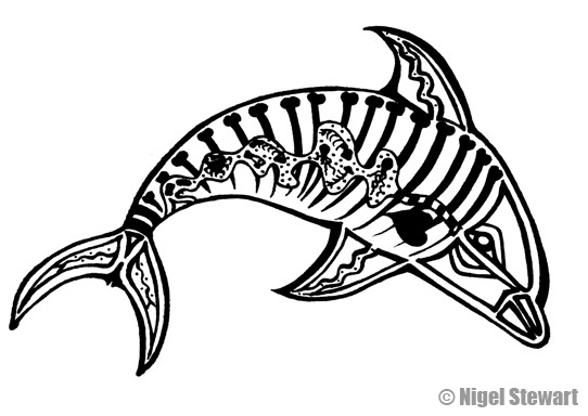 542x384 Aidan Robinson 7 Visual Arts 8 Blog Aboriginal X Ray Artworks