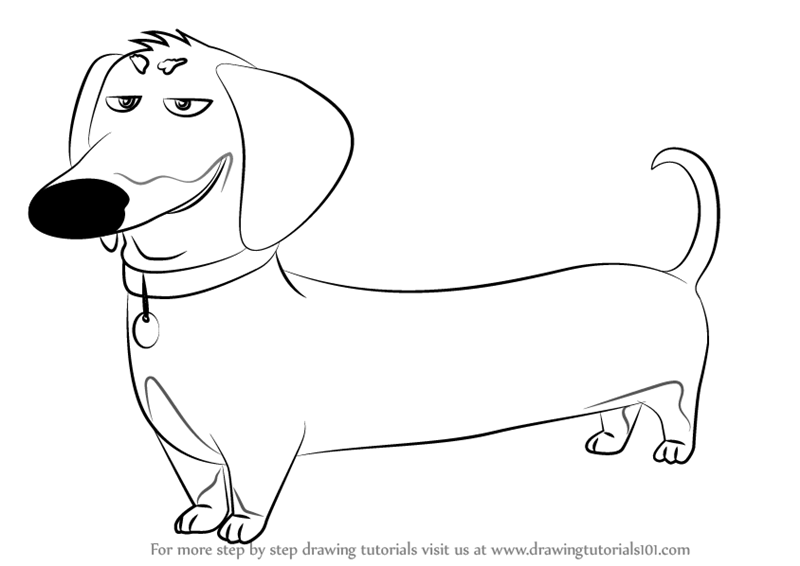 800x566 Learn How To Draw Buddy From The Secret Life Of Pets (The Secret