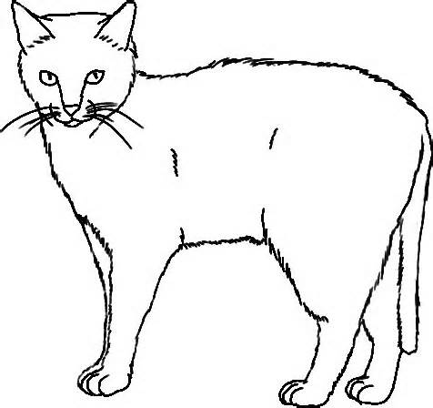 476x448 Cat Line Drawing