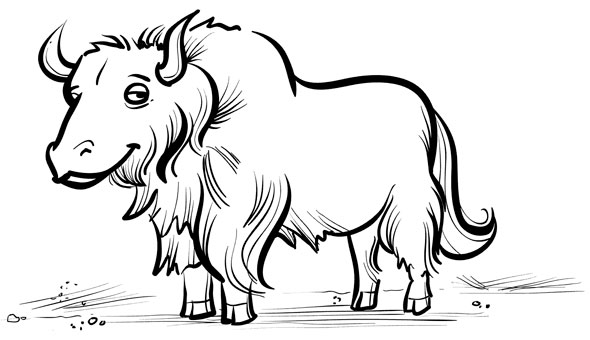 590x340 Dani Jones Illustration