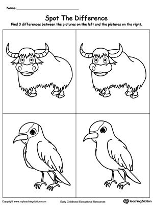 300x400 Spot The Difference In The Animals Yak And Xenops Printable