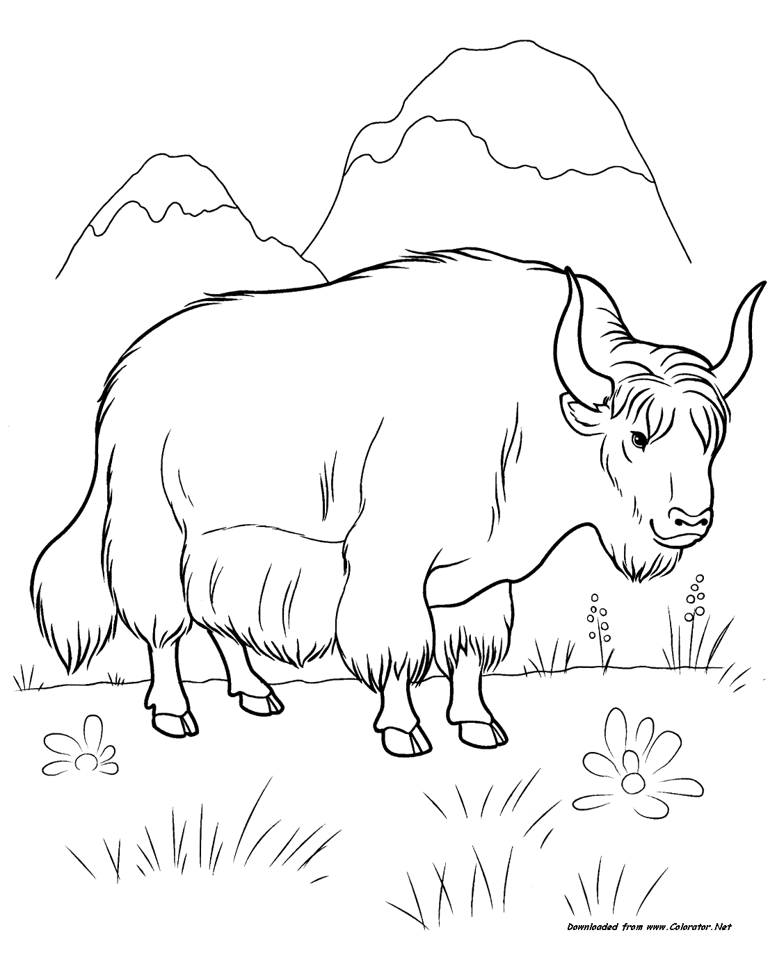 1117x1371 Yak Coloring Page