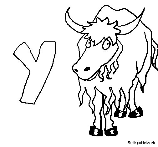 505x470 Yak Coloring Page