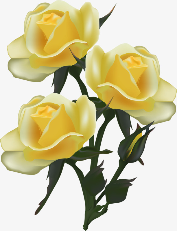 Yellow Flower Drawing at GetDrawings | Free download