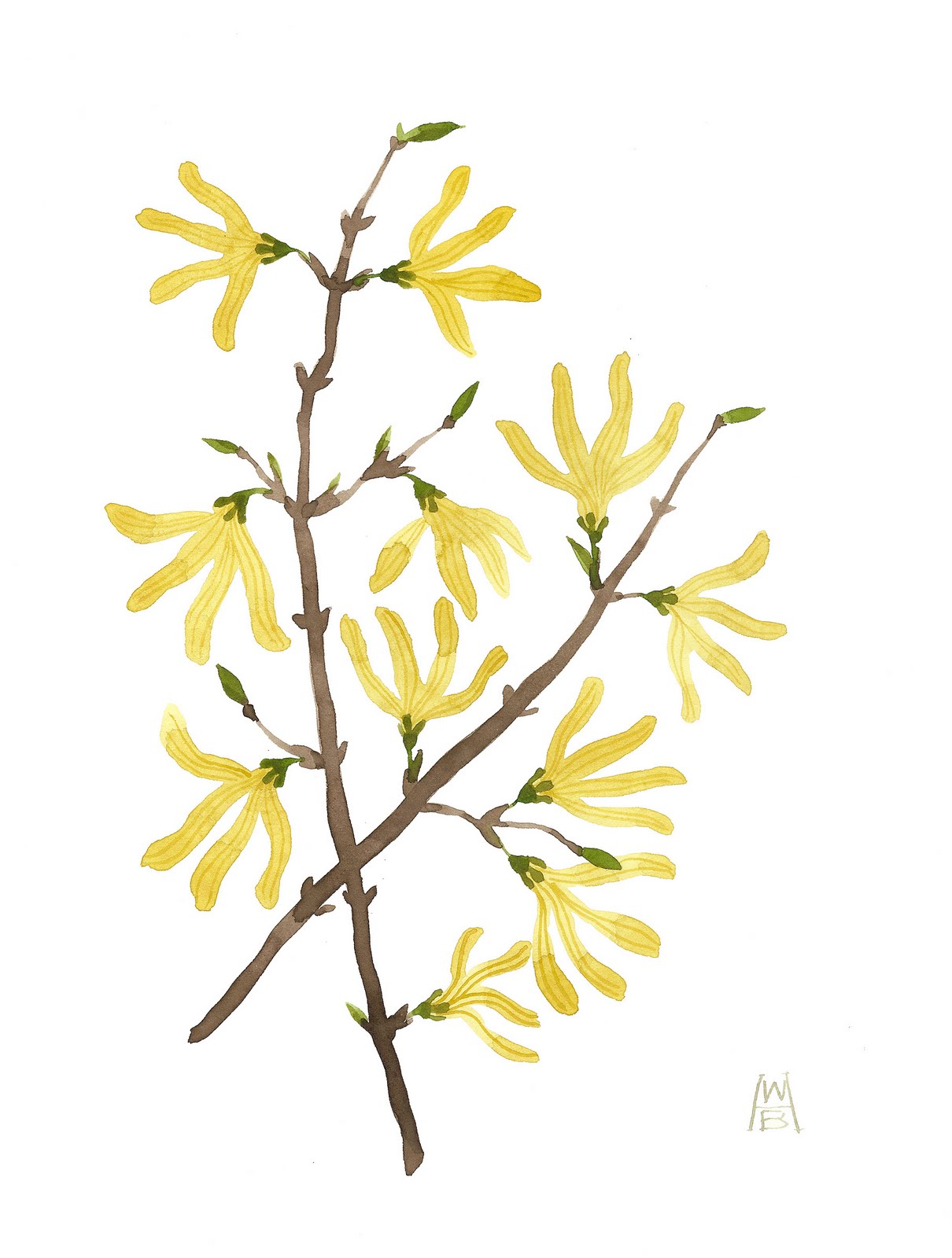 1210x1600 Golly Bard's Drawing Room Sunshine