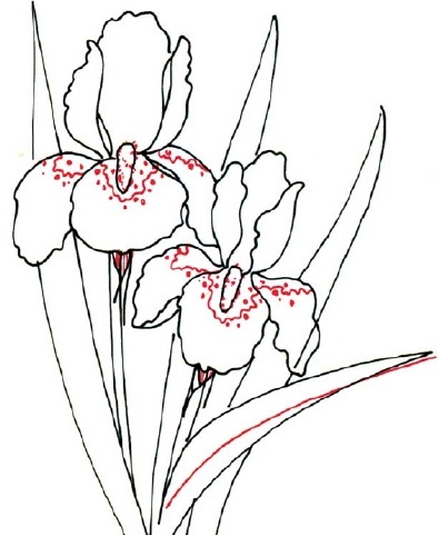 394x481 Pin By Joan Donakowski On Iris Folding Pattern Iris