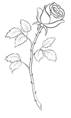 236x393 Rose Drawing Outline Freestyle Rose Drawings