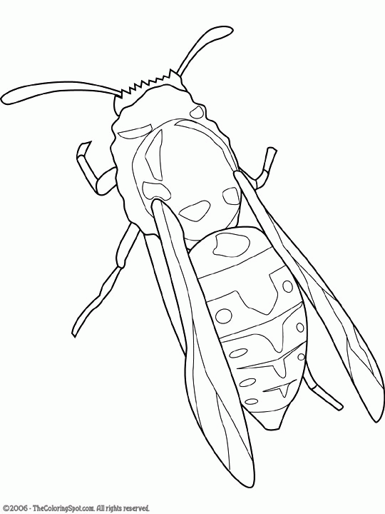 540x720 Yellow Jacket Coloring Page Coloring Page For Kids