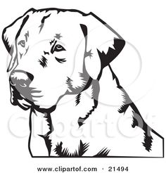 236x246 Clipart Illustration Of A Cute And Curious Labrador Retriever Dog