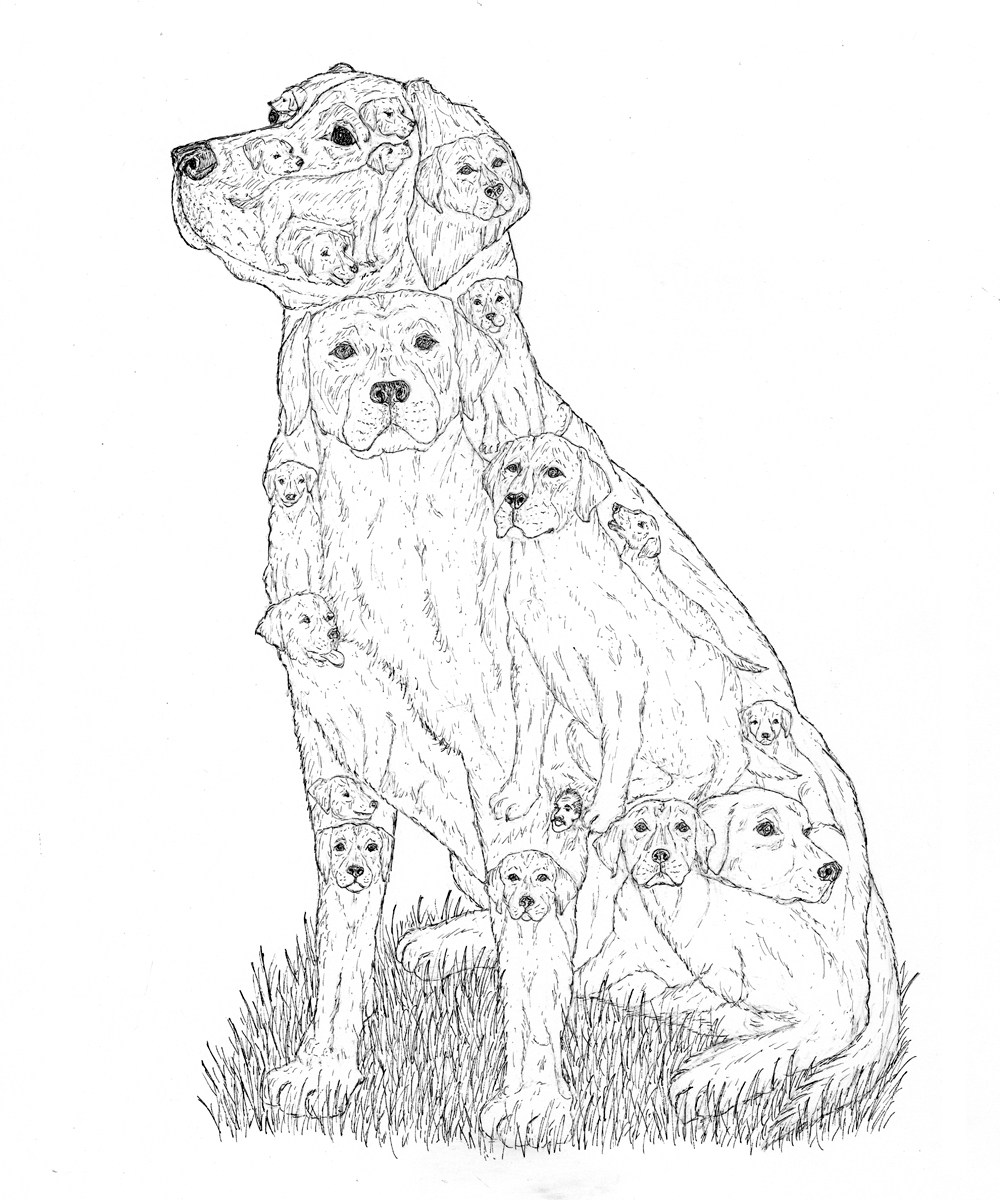 1000x1200 Dogs Gallery Chazmania